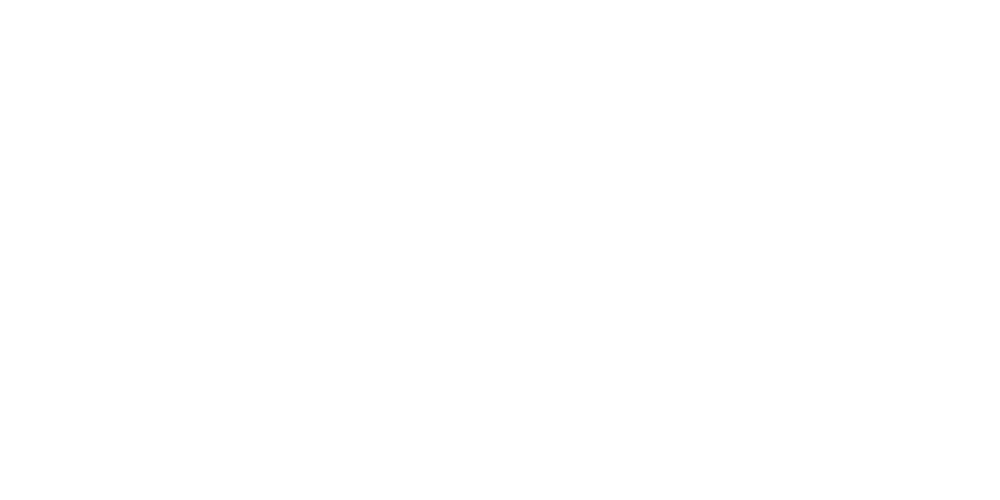 Lyse Netter
